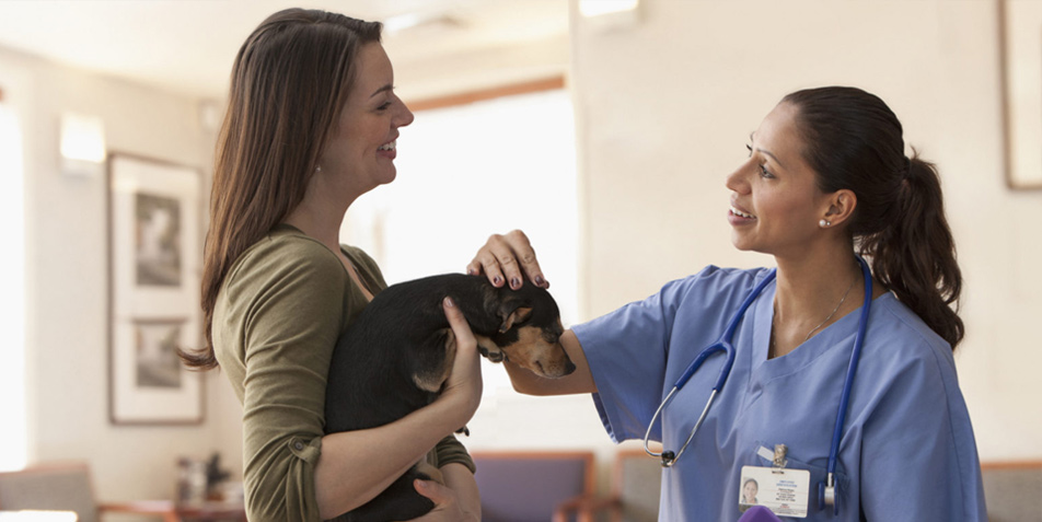 Communication for Veterinary Practices