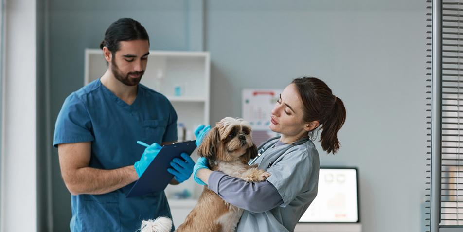 Comunicación para Centros Veterinarios