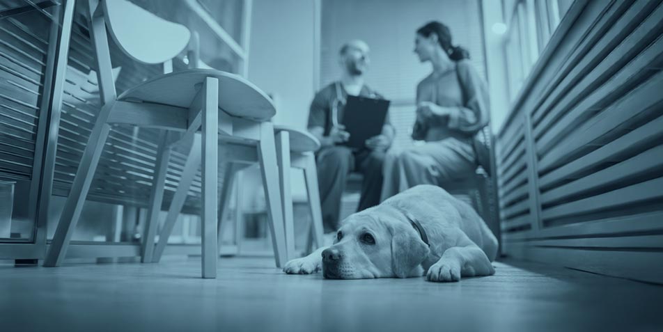 Know-how-Check: Hypothyreose - von Verdacht bis Therapieentscheidung