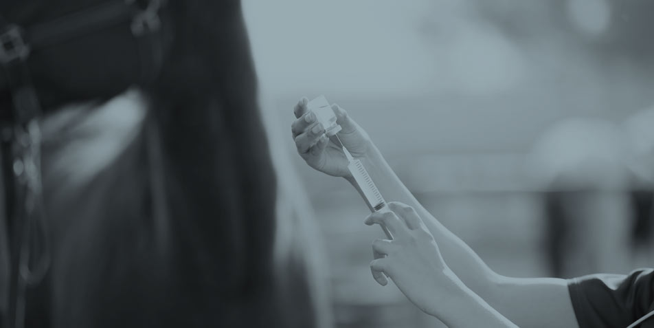 Know-how-Check Hufrehe: Alter Hut oder neue Erkenntnisse? Aktuelles zur Schmerztherapie und Medikation